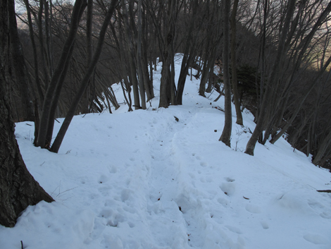 20180209hike (251)